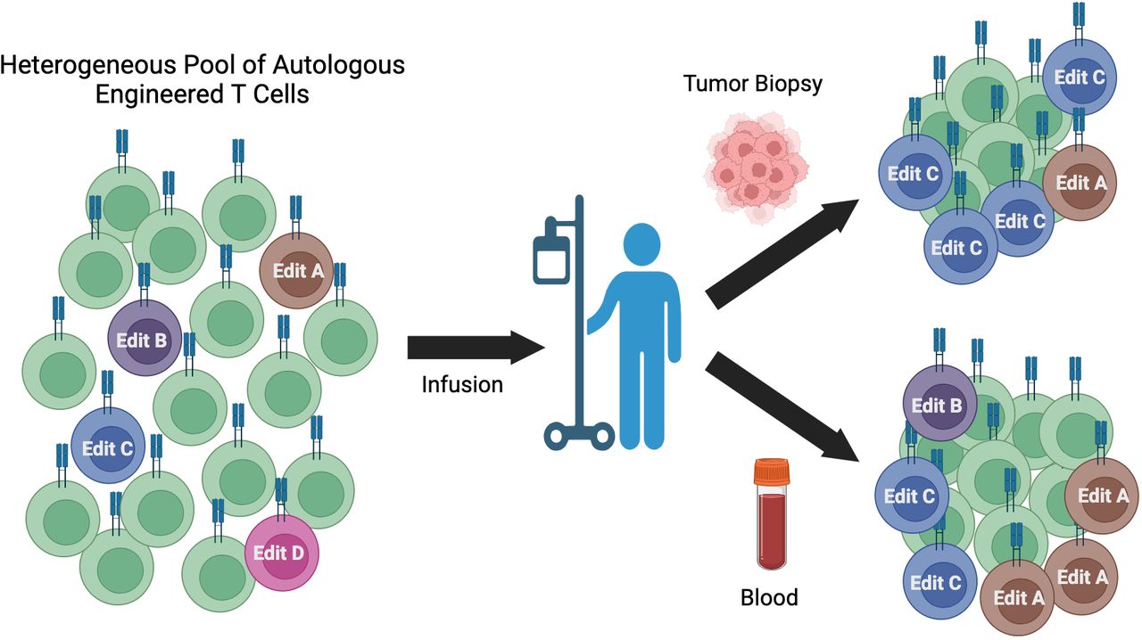 Friends & PICI The Journal for ImmunoTherapy of Cancer Graphic